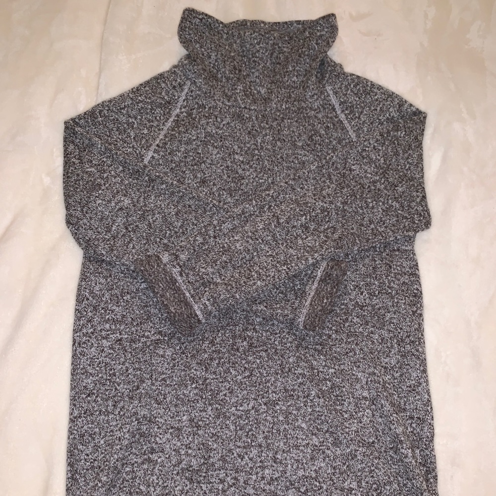 Roots Canada Turtleneck